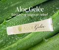 Aloe Gelee